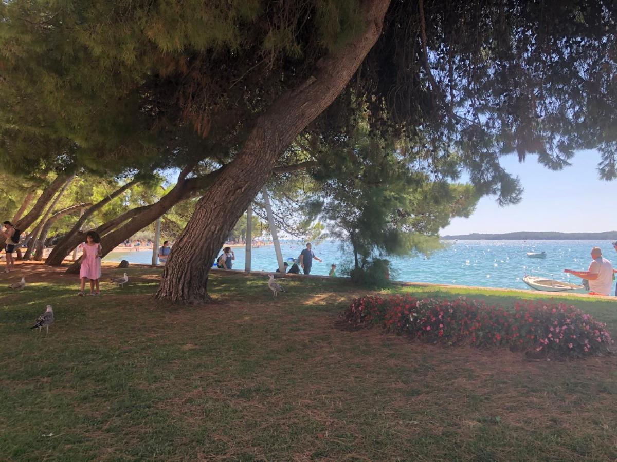 Istrian Stone House In The Heart Of The Beautiful Fishing Village Fazana - Only Few Steps From The Sea And The Wonderful Beach - Incl Plasma-Quad-Plus-Filter Against C O V I D Bagian luar foto